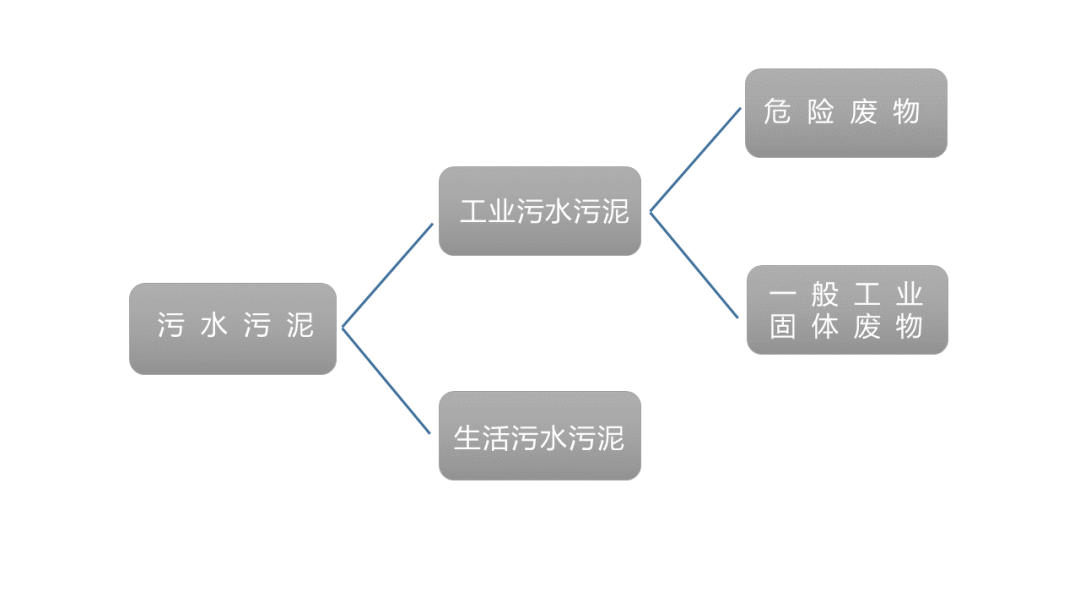 微信图片_20190311081655